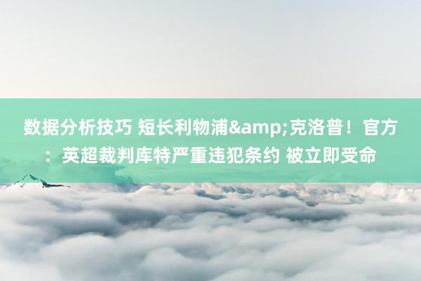 数据分析技巧 短长利物浦&克洛普！官方：英超裁判库特严重违犯条约 被立即受命