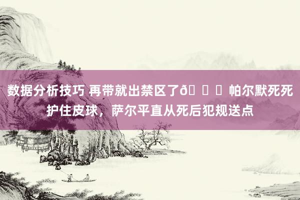 数据分析技巧 再带就出禁区了😂帕尔默死死护住皮球，萨尔平直从死后犯规送点