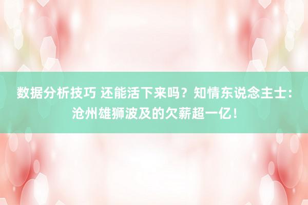 数据分析技巧 还能活下来吗？知情东说念主士：沧州雄狮波及的欠薪超一亿！