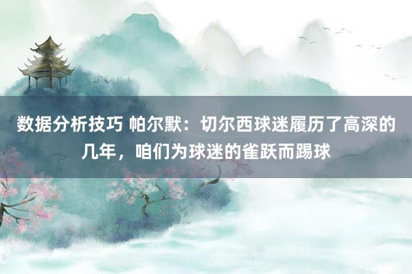 数据分析技巧 帕尔默：切尔西球迷履历了高深的几年，咱们为球迷的雀跃而踢球