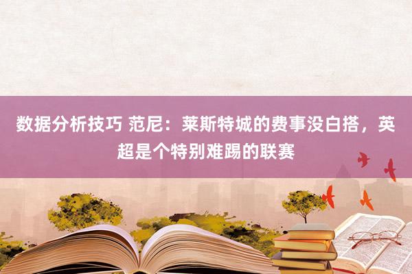 数据分析技巧 范尼：莱斯特城的费事没白搭，英超是个特别难踢的联赛