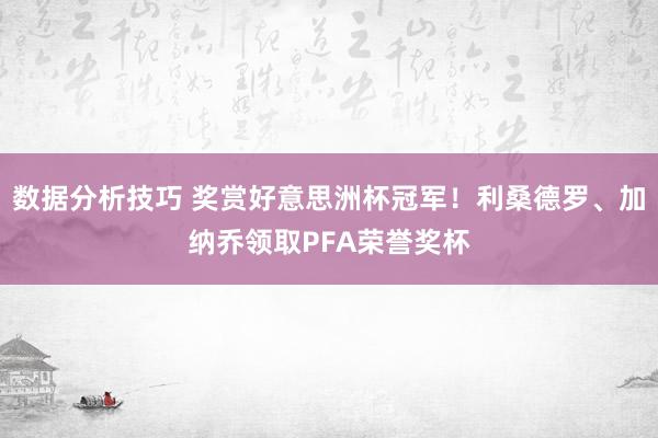 数据分析技巧 奖赏好意思洲杯冠军！利桑德罗、加纳乔领取PFA荣誉奖杯